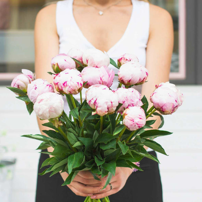 Peony Bouquet Box - $89 SPECIAL!